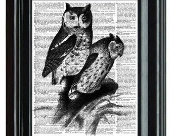 Two Owls Vintage Print, VINTAGE DICTIONARY PRINT, dictionary page, Upcycled dictionary art print,  8.25x11.25 num. 32
