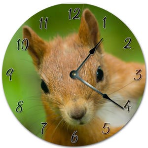 Squirrel Close Up Clock: 10.5" Living Room Wall Decor
