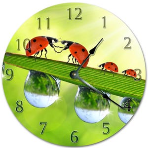 10.5" BUG And WATER DROP Clock - Living Room Clock - Large 10.5" Wall Clock - Home Décor Clock - 5617