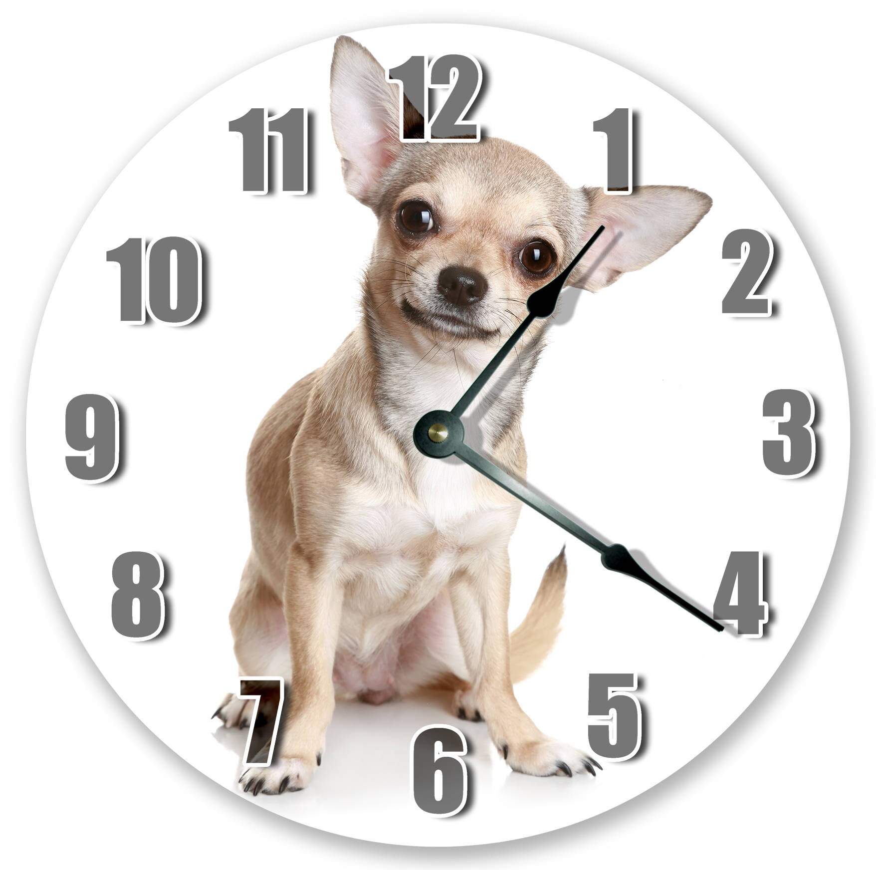 Часы про животных. Часы животные. Собака и часы. Будильник-питомец. Часы с чихуахуа.