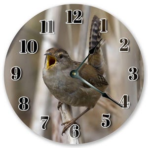 Marsh Wren Bird Clock: 10.5" Silent Wall Decor