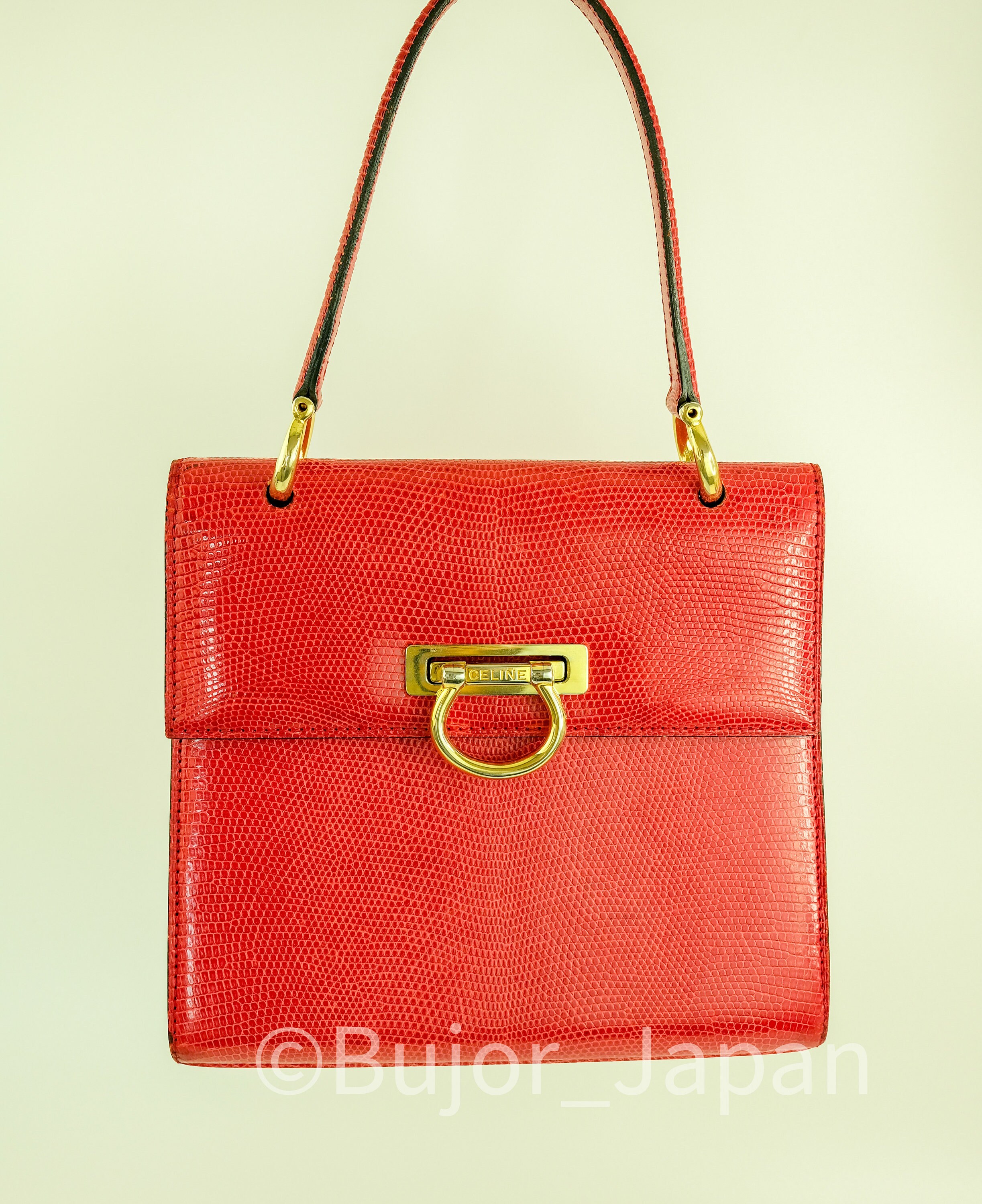 Frances Ombré Lizard Embossed Leather Top Handle Bag