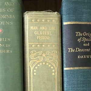 Man And The Glacial Period  antique geology book 2nd edition 1894 International Science Library  D Frederick Wright glacial geology