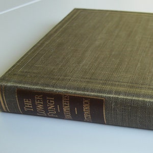 Fungi book The Lower Fungi Phycomycetes Harry M Fitzpatrick 1st edition McGraw-Hill 1930 rare vintage 30s book on fungi Botanical Sciences image 1