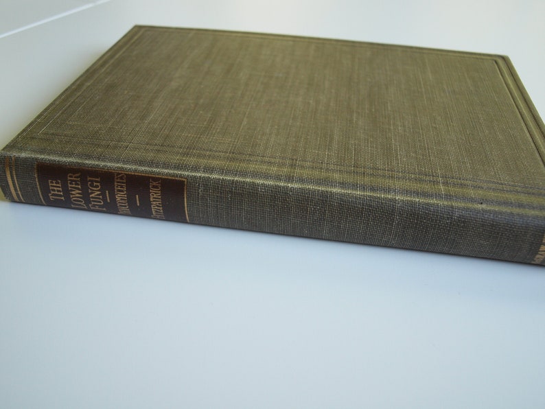 Fungi book The Lower Fungi Phycomycetes Harry M Fitzpatrick 1st edition McGraw-Hill 1930 rare vintage 30s book on fungi Botanical Sciences image 1