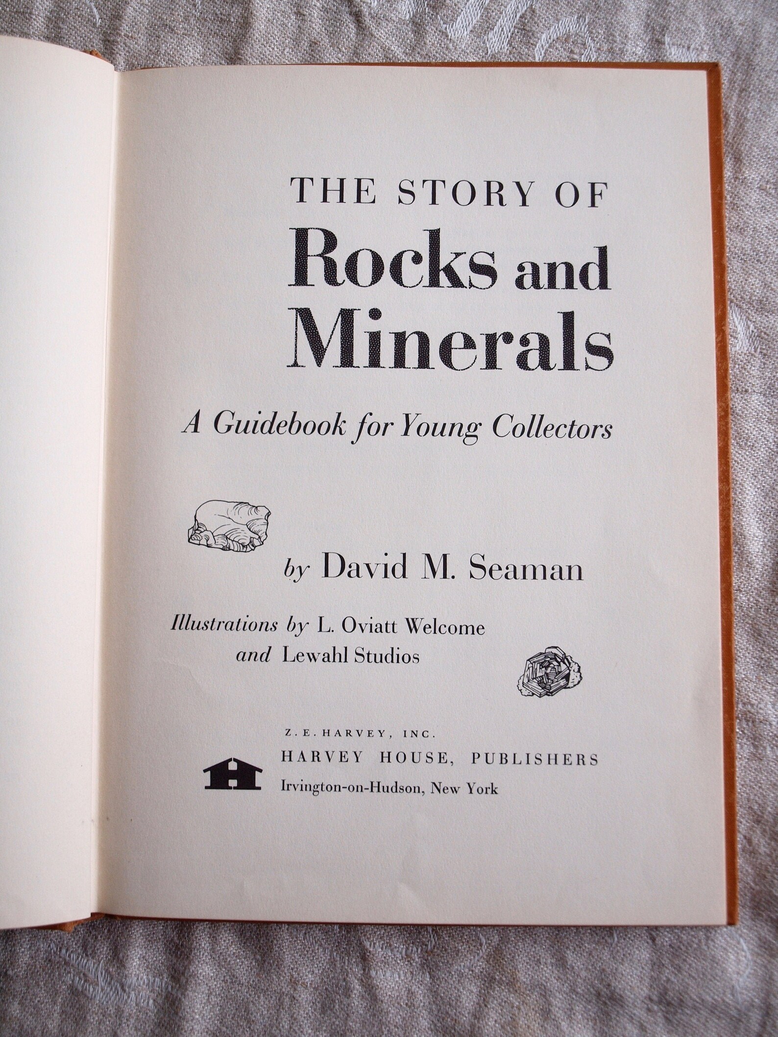 Rocks and Minerals Guide Book for Children Science for Kids - Etsy