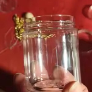 Könnte beinhalten: Ein durchsichtiger, zylindrischer Kunststoffbehälter mit einem Gewindehals für einen Deckel. Der Behälter ist transparent und zeigt einen glatten, hohlen Innenraum sowie einen flachen Boden. Der Rand weist sichtbare Schraubgewinde auf, die zum Befestigen eines Verschlusses dienen, was ein schlichtes und funktionales Design für Aufbewahrungszwecke ergibt.