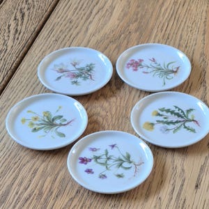 Könnte beinhalten: Fünf kleine, runde Untersetzer oder Untertassen aus weißer Keramik, die jeweils eine botanische Illustration einer anderen Wildblume mit grünen Stielen und farbigen Blütenblättern zeigen, darunter rosa, gelbe und violette Blüten auf Holz.
