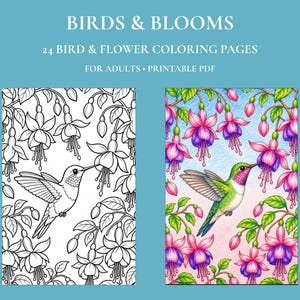 以下が含まれることがあります： BIRDS & BLOOMS 24 BIRD & FLOWER COLORING PAGES FOR ADULTS • PRINTABLE PDF. 2つの長方形のパネルには、フクシアの花の中にいるハチドリが描かれています。片方は白黒の線画で、もう片方は緑、ピンク、紫で彩色されています。