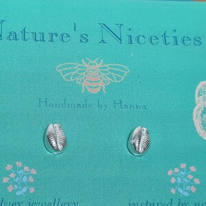 Cowrie shell stud earrings made of fine silver with sterling silver earposts and butterfly back