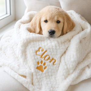 May include: A soft, white, textured blanket wrapped around a golden retriever puppy. The blanket features the name Elon embroidered in gold thread above a gold embroidered paw print. The fabric has a raised, bumpy, plush surface texture.
