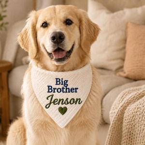 Op de afbeelding: Een crèmekleurige, gewatteerde hondensjaal met de geborduurde tekst "Big Brother" in donkerblauw, de naam "Jenson" in het groen en een klein groen hartje onder de naam, gedragen door een golden retriever.