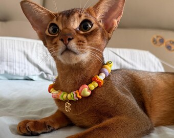 May include: A beaded pet collar featuring a variety of colorful, shaped plastic beads in shades of yellow, orange, green, and purple, accented with a gold-toned letter B charm hanging from the center, worn by a brown Abyssinian cat.