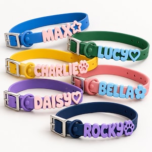 May include: Six silicone pet collars in blue, green, yellow, pink, purple, and dark blue, each featuring a silver metal buckle and personalised raised lettering spelling out the names Max, Lucy, Charlie, Bella, Daisy, and Rocky with charms.