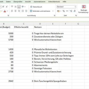 Könnte beinhalten: Eine Tabelle mit Finanzdaten, einschließlich Einnahmen, Ausgaben und Budgetdetails. Die Daten sind in Zeilen und Spalten organisiert, mit Beschriftungen auf Deutsch. Die Tabelle ist auf einem Computerbildschirm geöffnet.