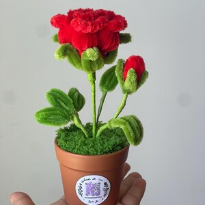 May include: A red rose and a smaller red rosebud crafted from fuzzy pipe cleaners, featuring green stems and leaves. The flowers are set in a small brown terracotta pot filled with green textured material, with a circular sticker on the front.