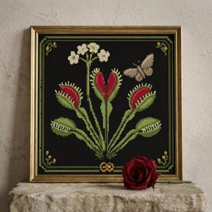 May include: A framed cross-stitch embroidery featuring a black background with green Venus flytrap plants, white flowers, and a moth. The design is enclosed in a green border with small yellow accents. A single red rose rests in front of the frame.