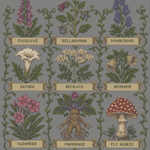 Gothic Cross Stitch Pattern PDF, Poison Garden Sampler Chart | Nine Poisonous Plants | Witchy Botanical Cross Stitch, Instant Download image 3
