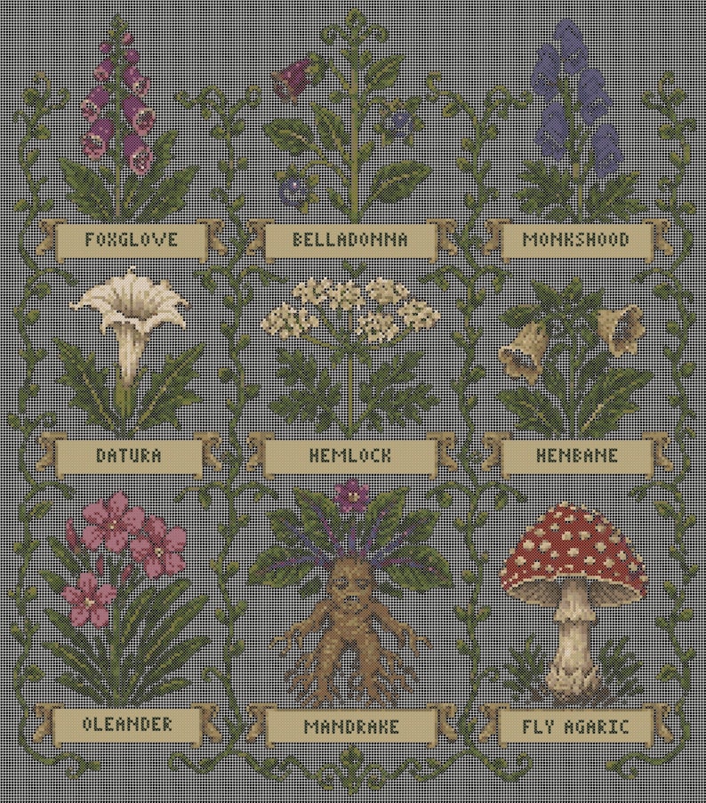 Gothic Cross Stitch Pattern PDF, Poison Garden Sampler Chart | Nine Poisonous Plants | Witchy Botanical Cross Stitch, Instant Download image 3