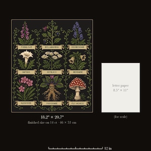 Gothic Cross Stitch Pattern PDF, Poison Garden Sampler Chart | Nine Poisonous Plants | Witchy Botanical Cross Stitch, Instant Download image 2