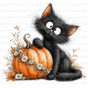 Op de afbeelding: Een pluizige zwarte kat met grote ogen zit naast een ronde oranje pompoen. De pompoen is versierd met witte madeliefjes en gedroogde herfstbladeren. De kat heeft een klein roze neusje en lange snorharen en rust met één poot op de pompoen.