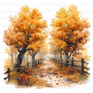 Könnte beinhalten: Eine Aquarellillustration eines Weges, der von goldgelben Herbstbäumen und Holzzäunen gesäumt ist. Zwei geflochtene Körbe voller roter Äpfel stehen am Boden bei den Bäumen, und verstreute rote Äpfel liegen auf dem unbefestigten Weg.