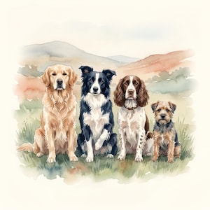 以下が含まれることがあります： 草地に座る4匹の犬の水彩画イラスト。左から順に、ゴールデンカラーのレトリバー、黒と白のボーダーコリー、首輪をした茶色と白のスパニエル、そして小さなワイヤーヘアのテリアミックスが描かれています。