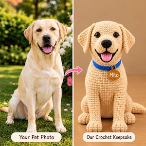 May include: A side-by-side comparison showing a yellow Labrador retriever sitting on grass next to a handmade crochet stuffed animal version of the dog. The crochet dog features a blue collar with a brown tag embroidered with the name Milo.