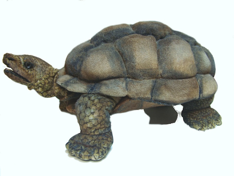 Tortoise Turtle sew your own ebook with 68 pages Instruction and pattern image 1