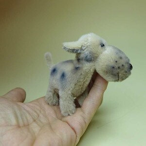 以下が含まれることがあります： 黒い目をした、小さく、灰色と白のぬいぐるみ犬。犬は手に乗っています。