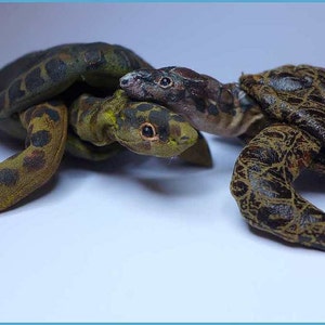 以下が含まれることがあります： 2匹のぬいぐるみのかめ、1匹は緑と茶色の斑点模様、もう1匹は茶色のより複雑な模様で、一緒にポーズをとっています。小さい方の亀は大きい方の亀の上にいます。