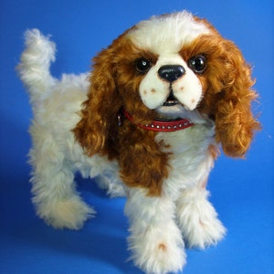 以下が含まれることがあります： 青い背景に立っている、白と茶色のキャバリア・キング・チャールズ・スパニエルの仔犬。赤い首輪にはラインストーンが飾られています。