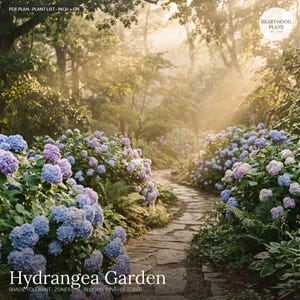 May include: A digital PDF plan for a hydrangea garden featuring a stone path lined with blue and purple hydrangea bushes. Text includes PDF PLAN, PLANT LIST, INCH + CM, HEARTWOOD PLANS, HYDRANGEA GARDEN, SHADE TOLERANT, ZONES 5-9, BLOOMS JUNE-OCTOBER.