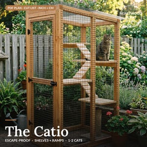 Pode incluir: Um recinto alto de madeira para gatos com estrutura de rede metálica, uma porta articulada com trinco preto e várias plataformas interiores de madeira ligadas por rampas. Um gato tigrado está sentado numa das prateleiras superiores.