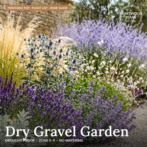 Può includere: Un giardino con lavanda viola, cardi blu spinosi e alte erbe ornamentali dorate. Le scritte includono PRINTABLE PDF PLANT LIST ZONE GUIDE, HEARTWOOD PLANS EST 2026 e il titolo Dry Gravel Garden DROUGHT-PROOF ZONE 5-9 NO WATERING.