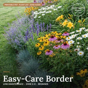 May include: A garden border featuring purple salvia, yellow daylilies, white daisies, and purple coneflowers. Text overlays include PRINTABLE PDF PLANT LIST ZONE GUIDE, HEARTWOOD PLANS EST 2026, and EASY-CARE BORDER LOW-MAINTENANCE ZONE 4-8 BEGINNER.