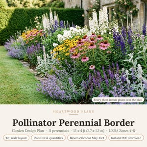 May include: A garden design plan titled Heartwood Plans Pollinator Perennial Border, featuring a photograph of a flower bed with purple, pink, yellow, and white perennials. The text includes 11 perennials, 12 x 4 ft, and USDA Zones 4-8.