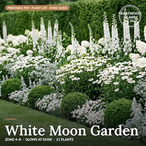 Może przedstawiać: Cyfrowy przewodnik po projektowaniu ogrodu zatytułowany White Moon Garden, zawierający plik PDF do druku, listę roślin i przewodnik po strefach. Obraz przedstawia bujny krajobraz z białymi kwiatami, wysokimi kłosami i zielonymi krzewami.
