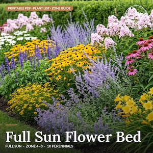 May include: A vibrant garden bed featuring a variety of perennials including yellow black-eyed Susans, purple salvia, pink phlox, and purple coneflowers. Text overlays read: PRINTABLE PDF PLANT LIST ZONE GUIDE and Full Sun Flower Bed.