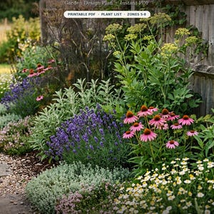 Könnte beinhalten: Ein digitaler Gartenplan mit dem Titel Cottage Herb Garden, der ein druckbares PDF, eine Pflanzenliste und die Zonen 5-8 enthält. Das Bild zeigt eine üppige Gartenrabatte mit violettem Lavendel, rosa Sonnenhut, weißen Margeriten und Grün.