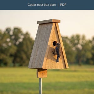 Könnte beinhalten: Ein hölzernes A-förmiges Vogelhaus mit einem 38 mm großen Einflugloch und ohne Sitzstange. Der Text lautet A-Frame Bluebird House, Cedar nest box plan | PDF, No perch, 38 mm hole und Inch + mm. Ein Vogel sitzt an der Vorderseite des Hauses.
