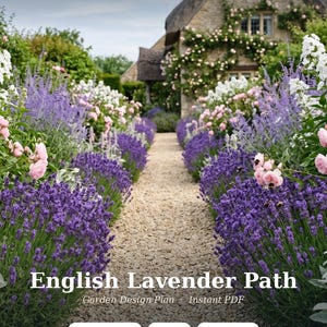 Peut inclure: Un plan de conception de jardin numérique intitulé English Lavender Path par Heartwood Plans. L'image montre un chemin de gravier bordé de lavande violette et de fleurs roses menant à un cottage en pierre. Le texte inclut USDA Zones 5-9, Full Sun, 20-Page Plan.