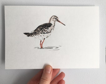 Redshank original watercolour