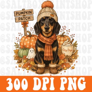 May include: A black and tan dachshund wearing a beige knit hat with a pom-pom, an orange scarf, and brown boots. The dog is surrounded by pumpkins, a small ghost, autumn leaves, acorns, and a mug with the text Cozy Days and a sign reading PUMPKIN PATCH.