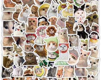 100PCS Cute Cat Stickers Pack, Waterproof Kawaii Decals Realistic Pet Lover Gift, Laptop Water Bottle Phone Case Stickers Scrapbook Decor