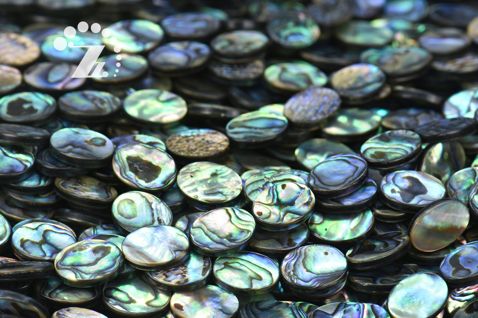 Abalone Shell Smooth Flat Oval Bead,rainbow Abalone,paua Shell,sea ...