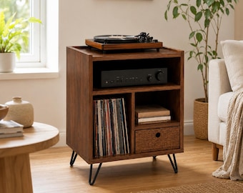 Mid Century Record Player Stand with Vinyl Storage, Turntable Cabinet, Wooden Record Storage Cabinet, Brown Media Console