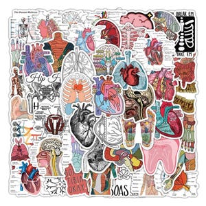 May include: A collection of anatomical stickers featuring detailed illustrations of the human heart, lungs, brain, skeleton, and various organs. Each sticker includes scientific labels and diagrams in a mix of colorful and black and white designs.