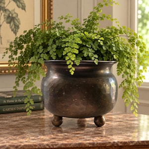 May include: A dark bronze-toned metal planter with a rounded, hammered texture body and three small spherical feet. The planter contains a lush, vibrant green fern with delicate, feathery fronds that spill over the curved rim of the vessel.