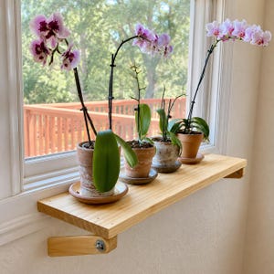 May include: A light-colored wooden wall shelf with metal hardware supports holds four potted orchid plants. The orchids feature white and purple flowers on tall stems, with green leaves, planted in terracotta and ceramic pots on small saucers.
